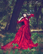 Red Mina Gothic Victorian Gown from Dracula