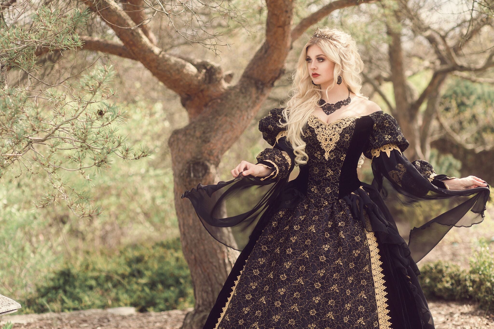 Gothic Sleeping Beauty Velvet & Venice Lace Gown – Romantic Threads