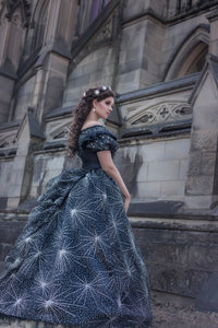 phantom of the opera dress Women's Whisper Pleated Cold Shoulder Sleeved Mesh Silk Floor Length XS/S/M/L/Customize Baby Pink MEAN BLVD Baby Pink / M while the floor length design exudes femininity Phantom,' Transformed: A First Look