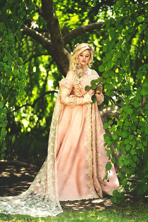 Champagne Blush Medieval Plus Size Fantasy Gown Custom – Romantic Threads