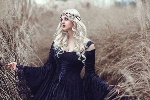 Gothic Black Gwendolyn Velvet and Lace Gown Medium Gothic Black Gwendolyn Velvet and Lace Gown Medium