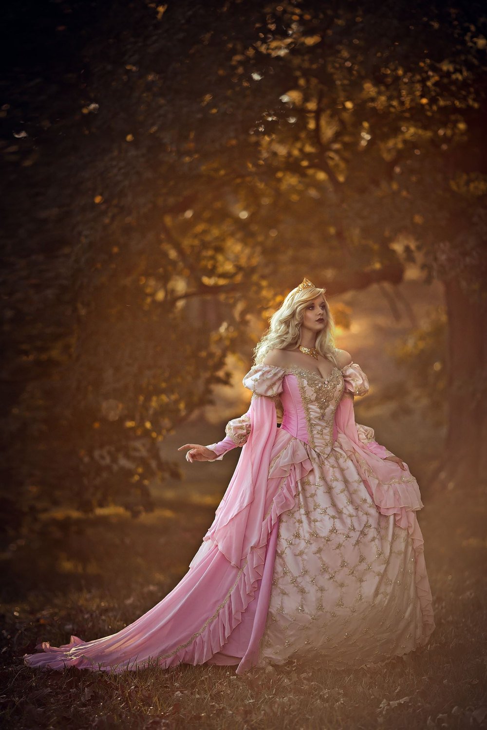 Pink Ombre Fantasy Sleeping Beauty Gown Pink Ombre Fantasy Sleeping Beauty Gown