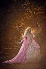 Pink Ombre Fantasy Sleeping Beauty Gown